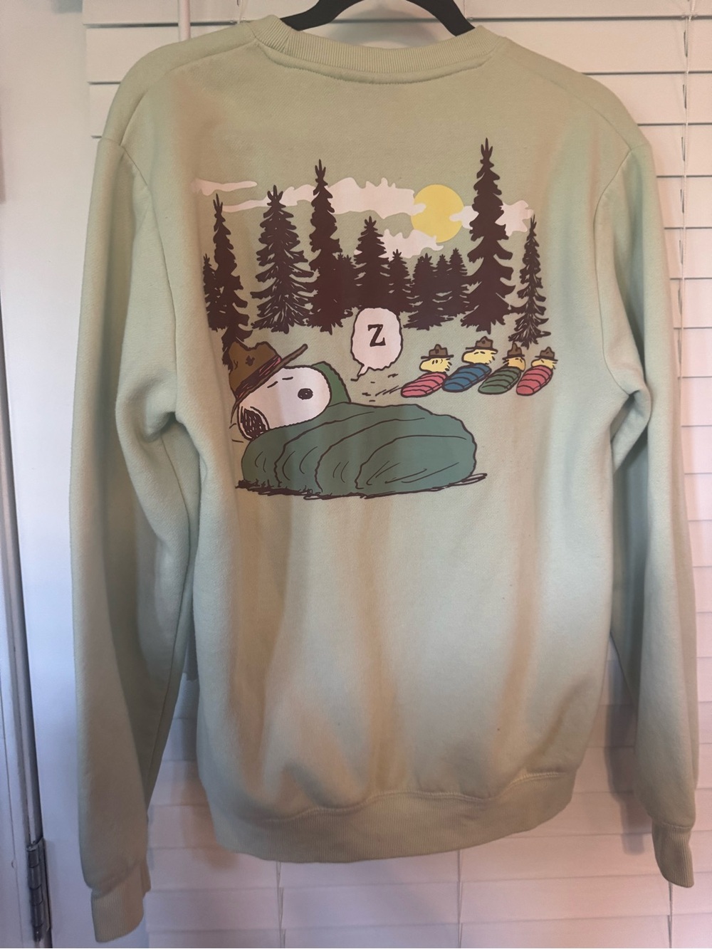 Peanuts Snoopy Camping Graphic Crewneck Sweater - Light Green